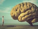 Cosas que te conviene saber sobre el cerebro