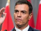 El PSOE duda que Pedro Sánchez resista hasta 2020