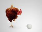 ¿Te atreves con el problema de los huevos y las gallinas?