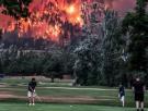 Golfistas jugando mientras el bosque está en llamas: la foto que refleja a EEUU