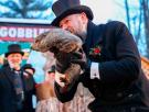 La marmota Phil pronostica que el invierno tiene los días contados