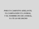 ¿Sabes qué animal es? Resuelve este acertijo en 7 segundos y comprueba tu rapidez mental