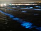 El increíble efecto bioluminiscente que podrás ver en estas playas de España