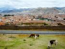 Si te apellidas Vigo, es probable que tengas raíces peruanas