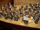 Dos activistas interrumpen un concierto y el director de orquesta se pone de su lado