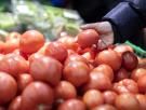 Un catedrático de Bioquímica responde a los que dicen que los tomates no saben como antes