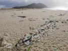Claves para entender lo que está pasando con la marea de pellets de plástico en Galicia