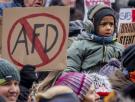 Vetar o neutralizar: Alemania se debate sobre la ilegalización del partido ultra AfD