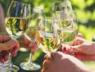 Una experta en vino aclara la diferencia entre un Verdejo y un Rueda