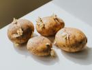 El aviso sobre las patatas con brotes: es importante que lo sepas