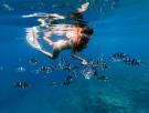 El desfile de islotes de Cataluña donde practicar snorkel en sus playas acompañado de peces de colores