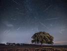 Lluvia de estrellas Leónidas 2024: cuándo son, dónde y cómo puedes verlas