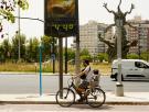 La AEMET pide césped para terminar con los termómetros de la calle de temperaturas extremas