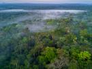 Alarma ante la medida desesperada de una tribu aislada del Amazonas: "Desastre humanitario en curso"