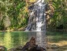 La exuberante cascada que aguarda a 1 hora de Barcelona que parece salida de la selva