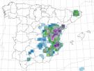 La AEMET se pone muy seria: las potentes tormentas se quedan todo el fin de semana y una zona crítica es señalada