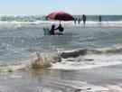 Lo que se ha visto en una playa de Cádiz solo puede pasar en España: y en primera línea