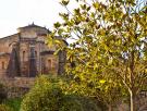 Esta es la catedral más antigua de toda España: es "uno de los monumentos más enigmáticos de Galicia"