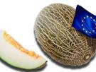 Alerta, UE: Ursula "melonizada"