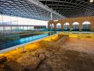 El pueblito donde se encuentra el conjunto de mosaicos romanos más grande de España: fueron descubiertos por accidente