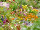 Abren por primera vez al público el jardín secreto de Madrid plagado de esculturas, arte y naturaleza en perfecta armonía