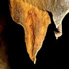 Un detalle antropomorfo en la cueva de Tito Bustillo. | Efe