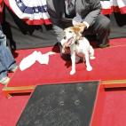 Omar Van Muller se muestra orgulloso de su perro