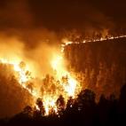 Diversos árboles ardiendo en Tenerife