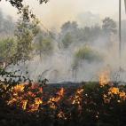 Efectivos del cuerpo de bomberos trabajan en las labores de extinción del incendio forestal en La Jonquera (Girona).
