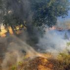 Efectivos del cuerpo de bomberos trabajan en las labores de extinción del incendio forestal.