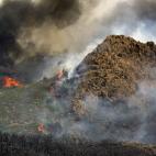 Llamas del incendio forestal declarado en el municipio gomero de Alajeró