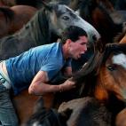 La Rapa das Bestas es el nombre de una fiesta cultural y turística que consiste en cortar las crines de los caballos que se realiza en los curros (recintos cerrados donde se recogen los caballos) celebrados en varias localidades de Galicia (Esp...