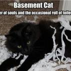 Si el gato en el techo (imagen anterior) es el equivalente del Dios de los de LOLcat, este gato negro en suelo es el mismísimo satán.
