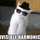 Algunos gatos aman la música. Este le da a la armónica
