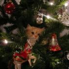 Grishanya:Cutest Christmas ornament