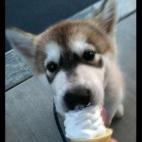 skylud:I love ice cream
