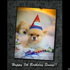 Deb Nuffer:Sonny Pepper celebrates his 7th birthday with friends!