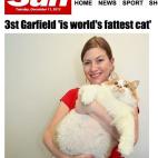 Este gato con sobrepeso, llamado Gardfield, ha sido uno de los protagonistas gatunos del año.