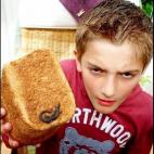 En julio, William Evans, un joven inglés de diez años, puso a misma cara de la foto al ver una lagartija cocinada sobre un trozo de pan.