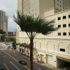 Una calle vacía de Tampa (Florida) azotada por el viento.