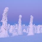 Parque Nacional Riisitunturi (Laponia, Finlandia). "El magnífico bosque boreal del norte, la denominada taiga, se extiende desde el extremo oriente ruso, pasando por Escandinavia y los países bálticos de Estonia y Letonia, hasta Bielorrusia y...