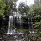 Australia es la segunda clasificada (28%), gracias a maravillas naturales como las cataratas de Mount Field, en Tasmania.