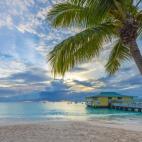 El Caribe, en todas sus variantes, ocupa la quinta posición entre los sueños viajeros de los españoles (21%). Un imán con rincones como las Indias Occidentales, en Barbados.