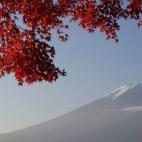Hablar del Monte Fuji es hablar de un icono del arte japonés. Está considerado como un lugar sagrado desde la antigüedad y es uno de los símbolos del país, siendo uno de los puntos turísticos más visitados y un destino popular para practi...