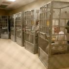 8 junio 2012 Los prisioneros de la prisión de San Quintín participan en una sesión de terapia de grupo. Esta cárcel alberga a los condenados a muerte del estdo de California.