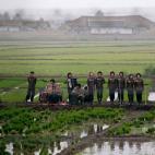 6 junio 2012 Un grupo musical saluda cantando a los agricultores de la isla de Hwanggumpyong, cerca de la ciudad norcoreana de Sinuiju y de la ciudad fronteriza china de Dandong.