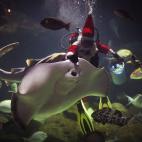 Un cuidador disfrazado de Papá Noel ofrece un almuerzo especial de Navidad a los animales marinos del zoológico de Chinag Mai, Tailandia.