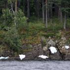 Julio de 2011. Los cuerpos cubiertos de varias de las v&iacute;ctimas del ataque terrorista de Anders Breivik en la isla de Utoya (Noruega). Asesin&oacute; a un total de 69 personas.