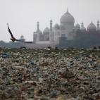 La basura se acumula a orillas del río Yamuna, cerca del Taj Mahal en Agra, India.