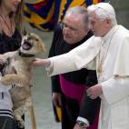 Pope Benedict XVI strokesa lion cub as he greets circus artists and workers, during an audience he held in the Pope Paul VI hall, at the Vatican, Saturday, Dec. 1, 2012. Benedict clapped and watched amused as circus workers flipped, flopped, jug...